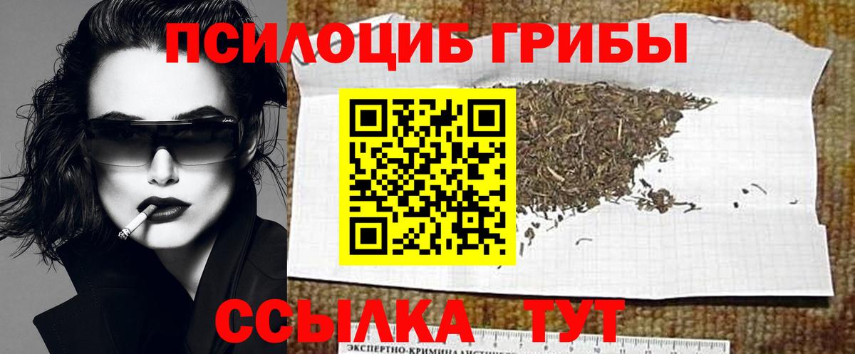 Знаменск  Псилоцибиновые грибы прущие грибы  Псилоцибиновые грибы Magic Shrooms  Вход с VPN 